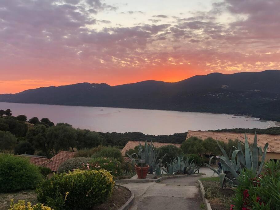 Appartement T2 Avec Piscine Aux Portes De La Plage De Cupabia Serra-di-Ferro (Corsica) Exterior foto