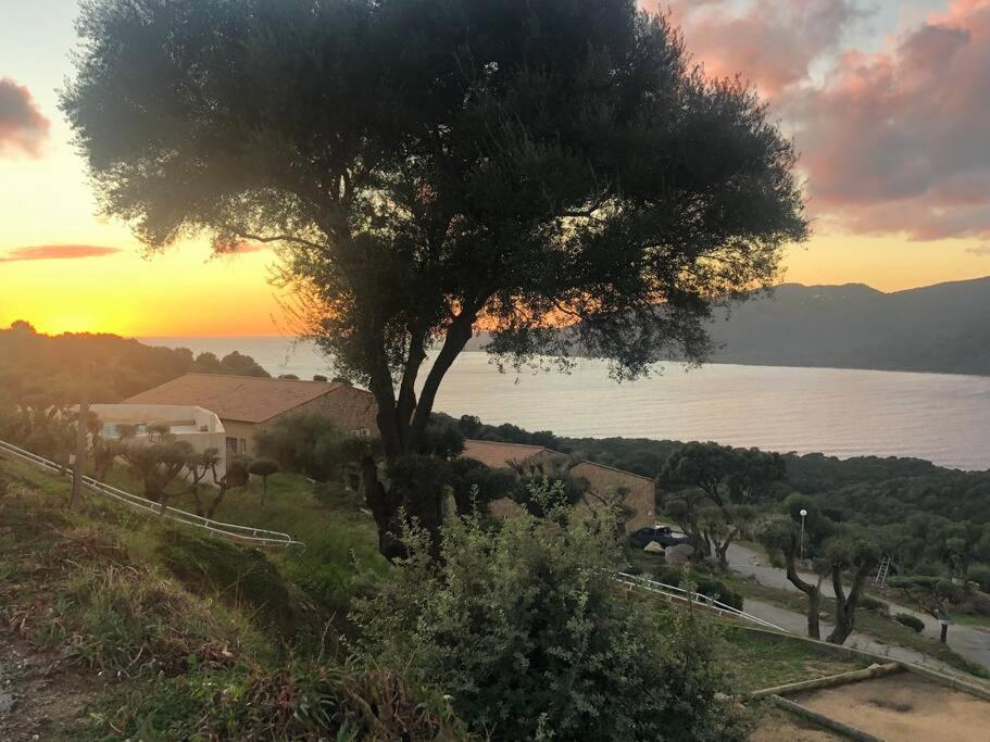 Appartement T2 Avec Piscine Aux Portes De La Plage De Cupabia Serra-di-Ferro (Corsica) Exterior foto